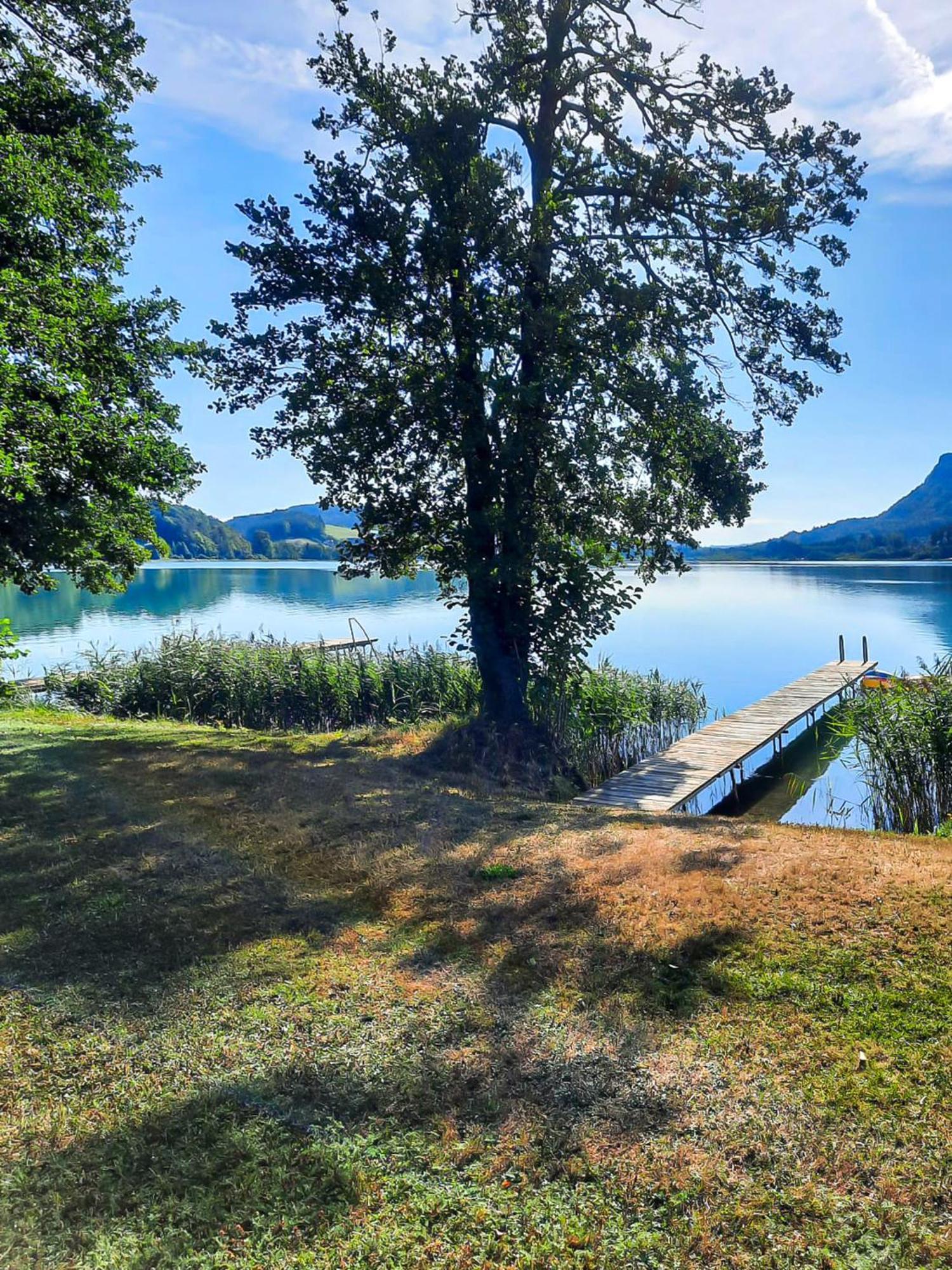 Ferienwohnungen Am See Haus Spitzer Keutschach am See Eksteriør billede